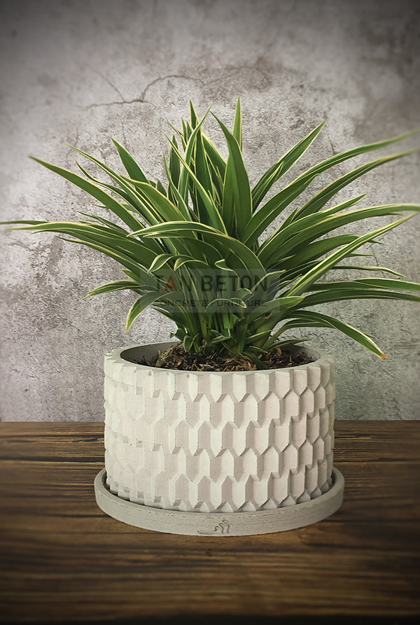 194953393_449383816102331_8624944247425840638_n